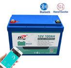 Bluetooth CC-CV 12V 100Ah Lifepo4 Baterai Lithium BMS